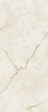 SYMPHONYX GOLD 120X278 LAPP (600180000024)