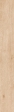 WINE OAK CHAMPAGNE 20X160 RET (610010002704)