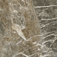 FORTE DEI MARMI QUARK BRECCIA DI CARAVAGGIO RETT 80X80 (610010002967)