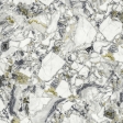 FORTE DEI MARMI QUARK CEPPO APUANO FOREST RETT 80X80 (610010002971)