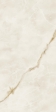 SYMPHONYX GOLD 80X160 LAPP (610015000633)