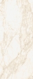   120X278 ETERNUM CARRARA 120X278 (600180000042)