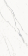    80X160 STELLARIS STATUARIO WHITE 80X160 (610010002838)