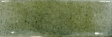  Jazz Mint 7,5x22,5
