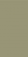  Elite Avocado 60x120 5 Matt