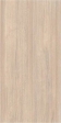  ARTWOOD    R10A 60X120 (K958019R)