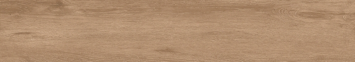 Forest Honey 20x120 Matt