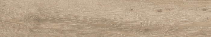 Forest Natural 20x120 Matt