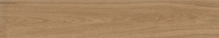 Forest Palm 20x120 Matt